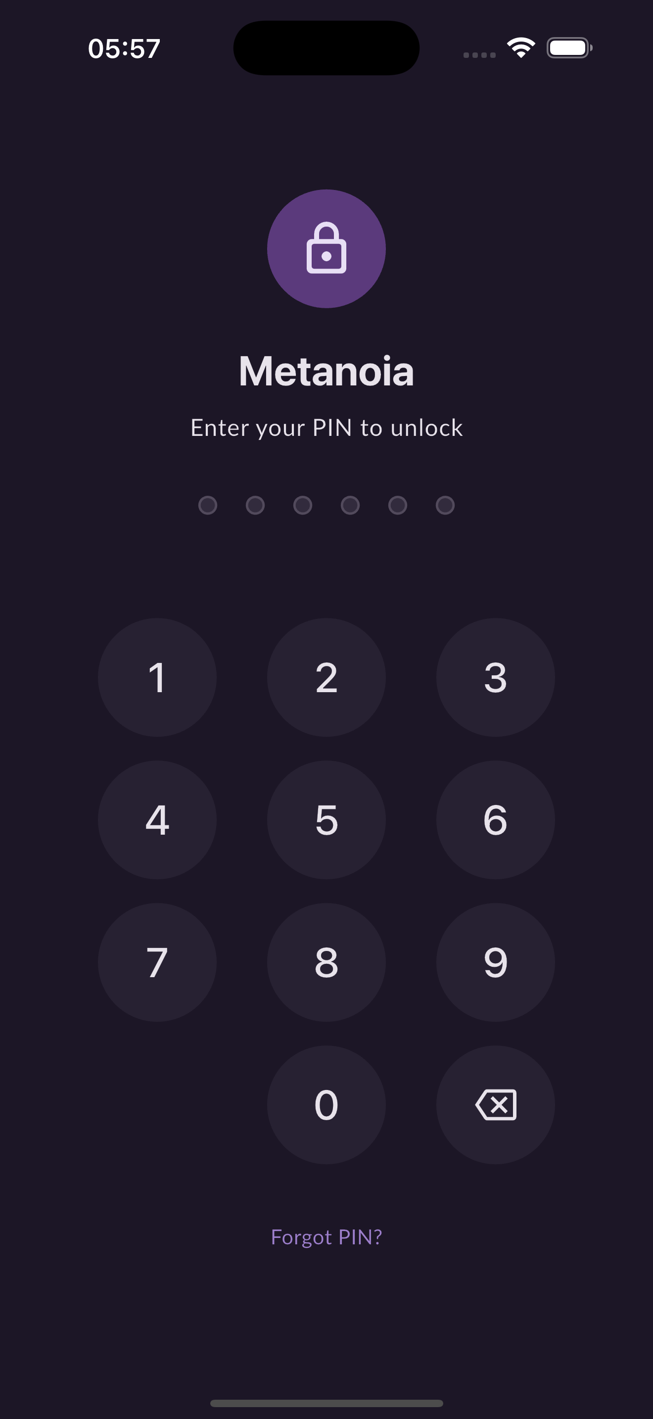 Metanoia PIN lock screen - protected access